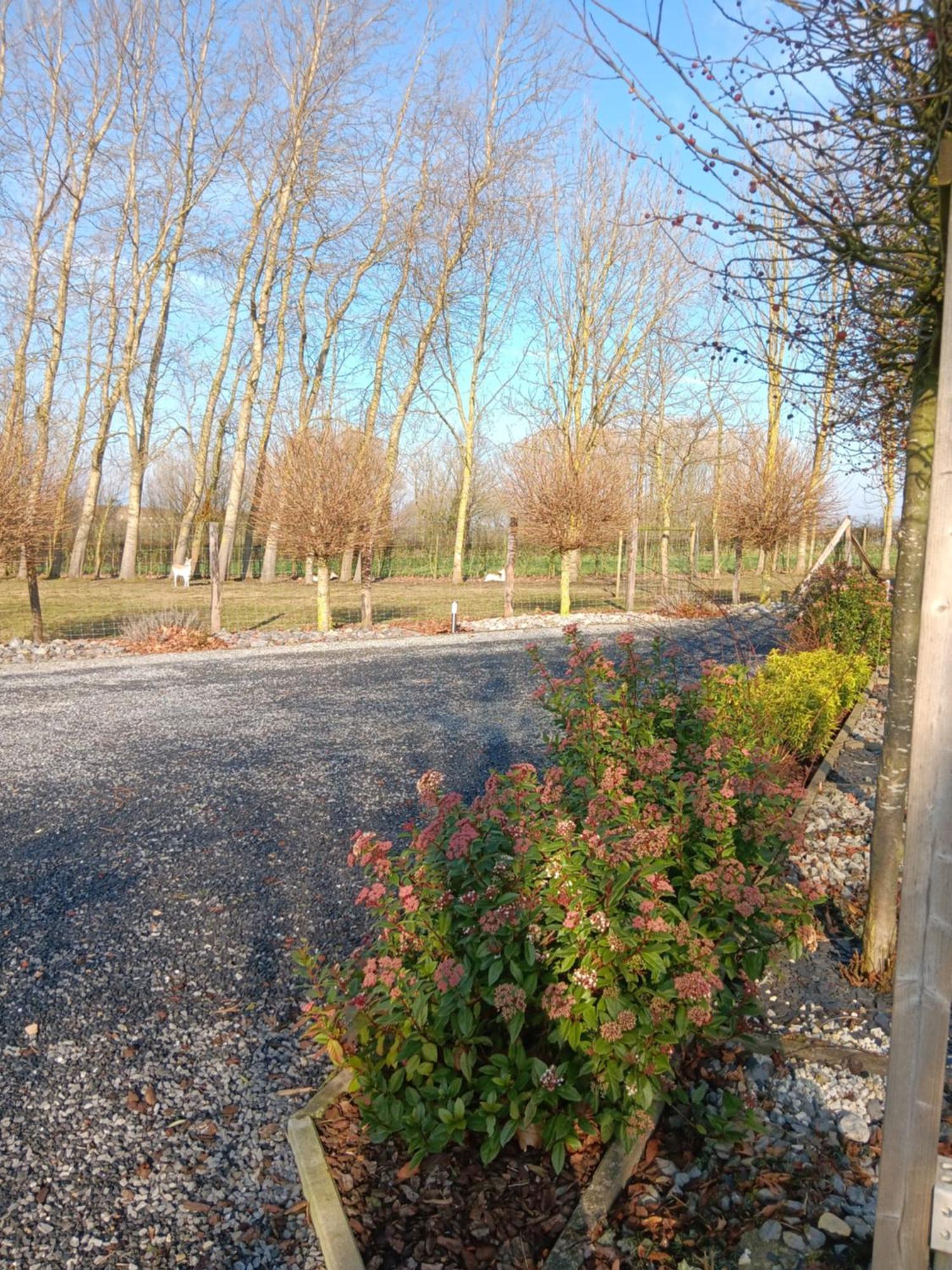 La Chambre Des Daines Binche Exterior foto